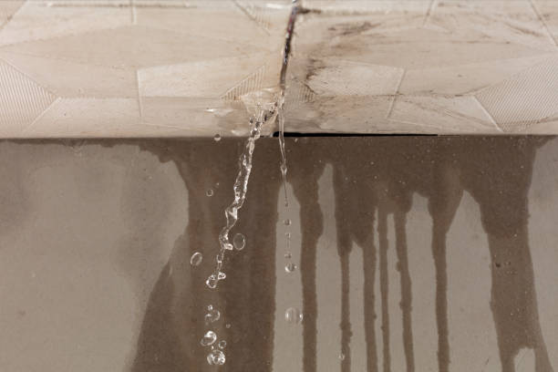 Professional Burst Pipe Cleanup technician working in Brown City, MI